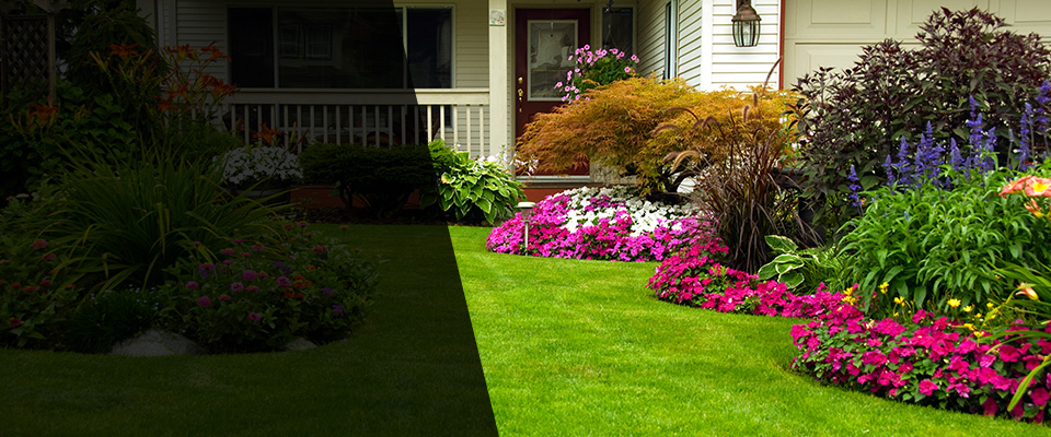 Kingwood Landscapers